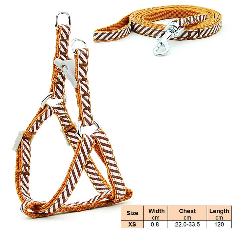 Dog Cat Harness Leash Harness Vest Leash Collar Puppy Small Pet Outdoor Walking Chihuahua Terier Schnauzer Weight 1 to 3Kg