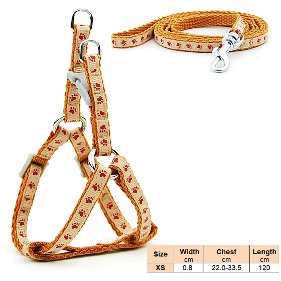 Dog Cat Harness Leash Harness Vest Leash Collar Puppy Small Pet Outdoor Walking Chihuahua Terier Schnauzer Weight 1 to 3Kg