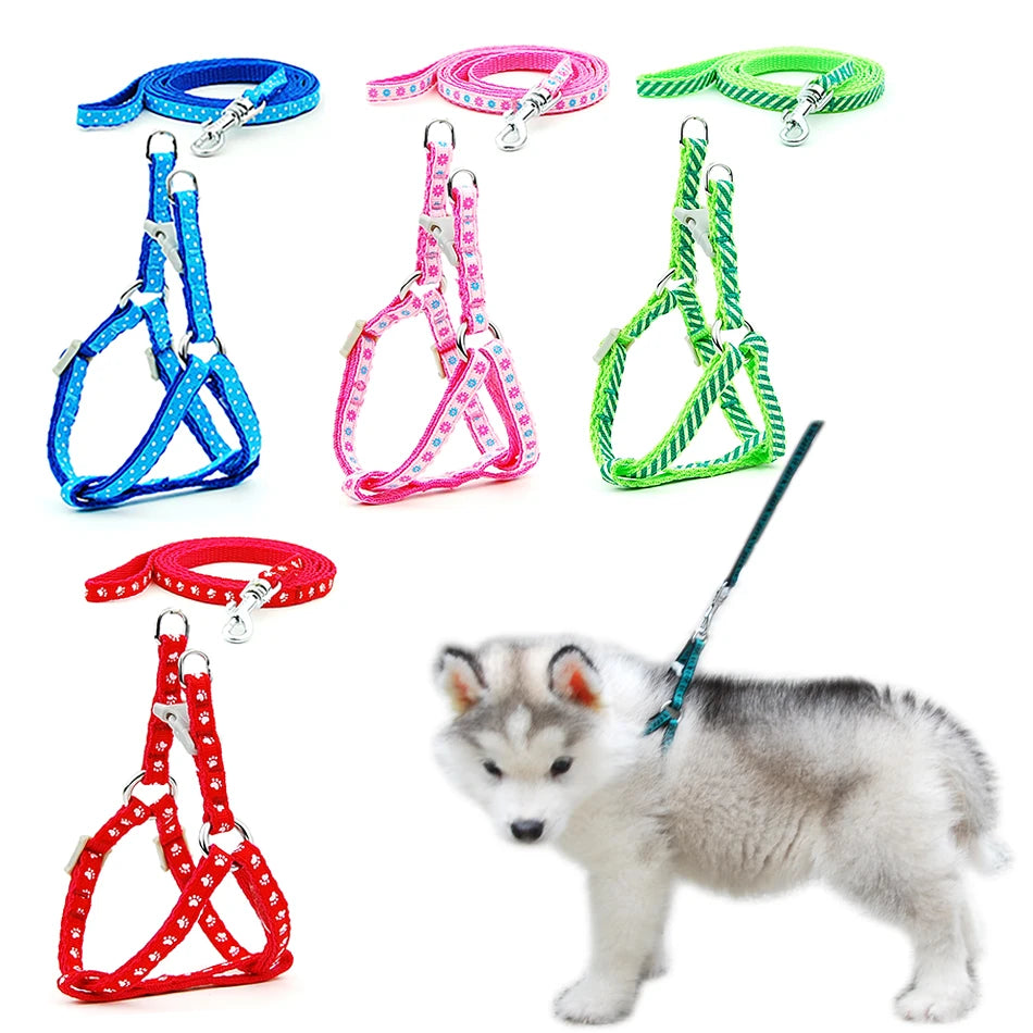Dog Cat Harness Leash Harness Vest Leash Collar Puppy Small Pet Outdoor Walking Chihuahua Terier Schnauzer Weight 1 to 3Kg
