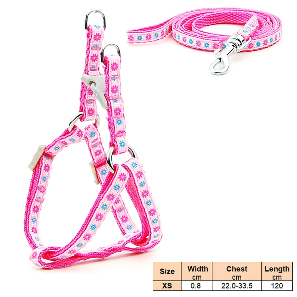 Dog Cat Harness Leash Harness Vest Leash Collar Puppy Small Pet Outdoor Walking Chihuahua Terier Schnauzer Weight 1 to 3Kg