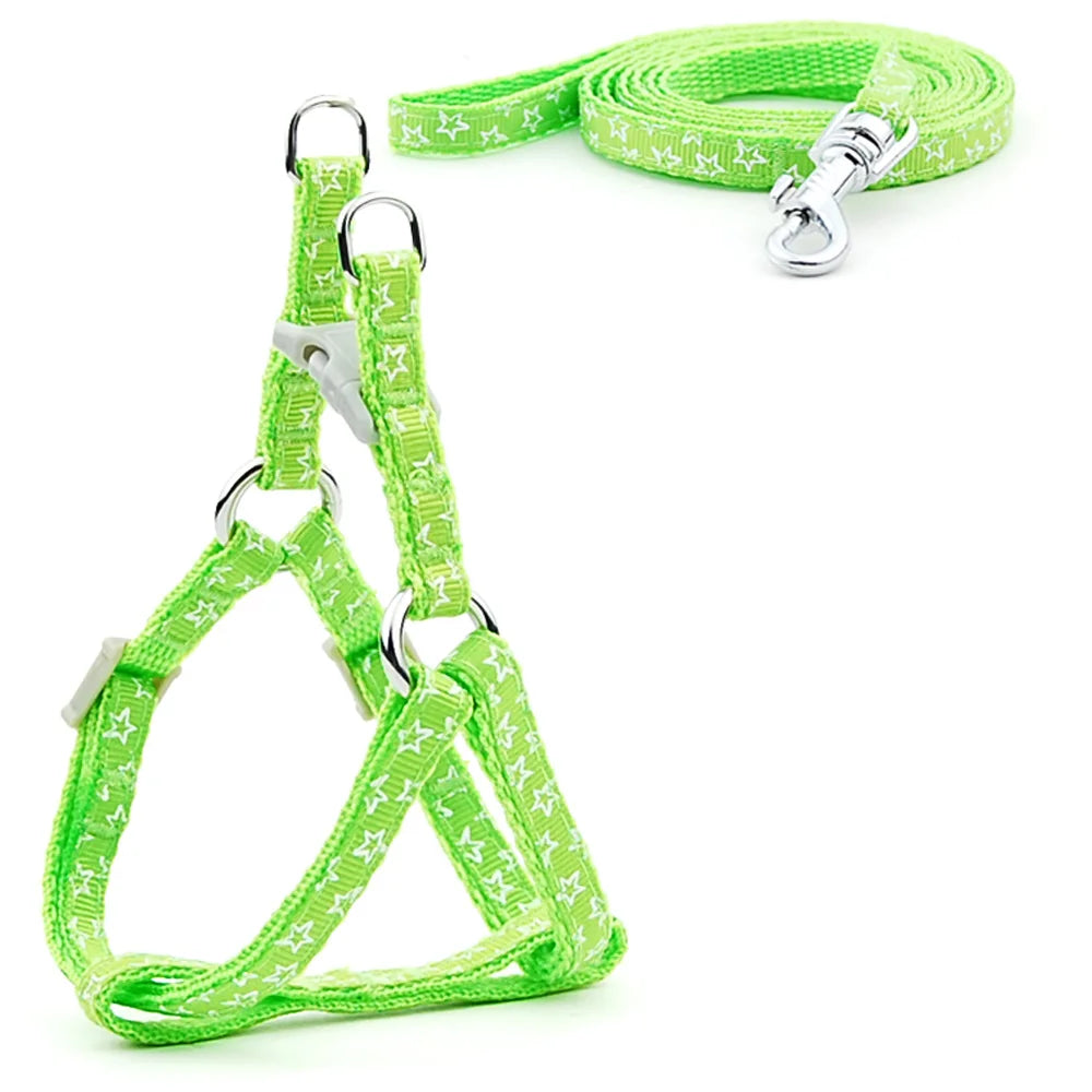 Dog Cat Harness Leash Harness Vest Leash Collar Puppy Small Pet Outdoor Walking Chihuahua Terier Schnauzer Weight 1 to 3Kg