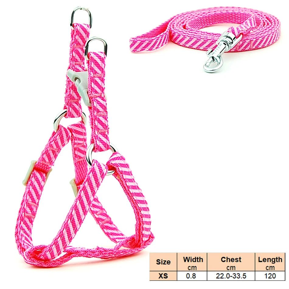 Dog Cat Harness Leash Harness Vest Leash Collar Puppy Small Pet Outdoor Walking Chihuahua Terier Schnauzer Weight 1 to 3Kg