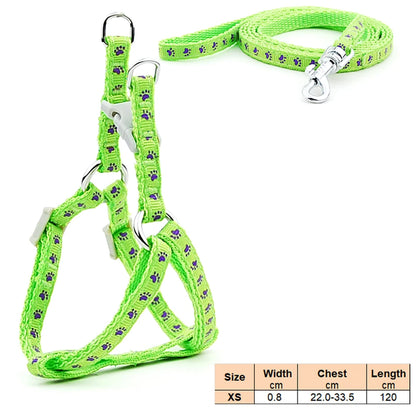Dog Cat Harness Leash Harness Vest Leash Collar Puppy Small Pet Outdoor Walking Chihuahua Terier Schnauzer Weight 1 to 3Kg