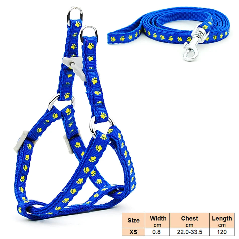 Dog Cat Harness Leash Harness Vest Leash Collar Puppy Small Pet Outdoor Walking Chihuahua Terier Schnauzer Weight 1 to 3Kg
