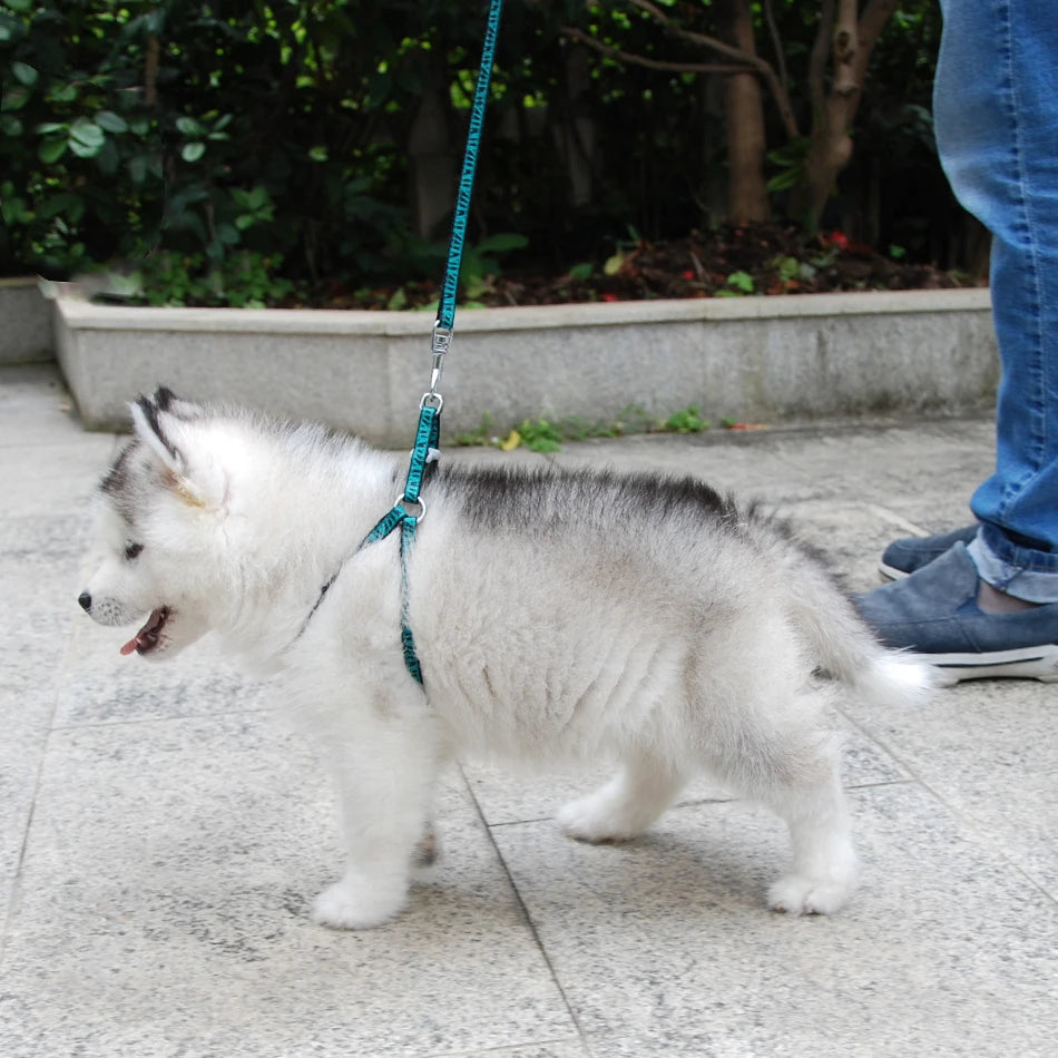 Dog Cat Harness Leash Harness Vest Leash Collar Puppy Small Pet Outdoor Walking Chihuahua Terier Schnauzer Weight 1 to 3Kg