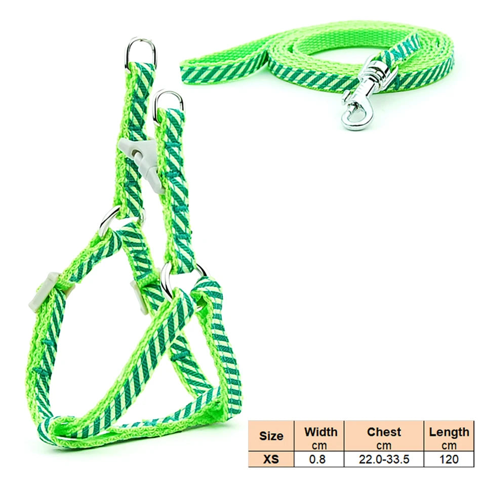 Dog Cat Harness Leash Harness Vest Leash Collar Puppy Small Pet Outdoor Walking Chihuahua Terier Schnauzer Weight 1 to 3Kg