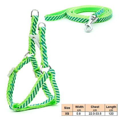 Dog Cat Harness Leash Harness Vest Leash Collar Puppy Small Pet Outdoor Walking Chihuahua Terier Schnauzer Weight 1 to 3Kg